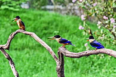 科乐美吃翔！网友在未越狱PS5上成功运行《P.T.》