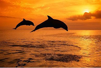 SE将修复《巴比伦的陨落》 首先从画质开始